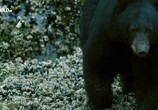 Сцена из фильма Пир гризли / Feast of the Grizzly (2016) Пир гризли сцена 6