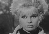 Фильм Пёс / Le Chien (1962) - cцена 2
