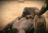 Сцена из фильма Новорожденные в зоопарке / Zoo Juniors (2016) Новорожденные в зоопарке сцена 2