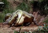 Сцена из фильма Могущественные рептилии / Planet of the Reptiles (2017) Могущественные рептилии сцена 1