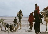 Фильм Когда ветер поднимает песок / Si le vent soulève les sables (2006) - cцена 7