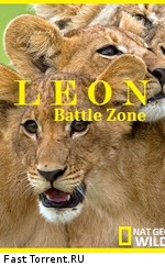 Война львов