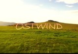 Сцена из фильма Восточный ветер / Ostwind - Zusammen sind wir frei (2013) Восточный ветер сцена 2
