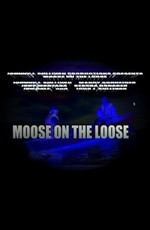 Moose on the Loose