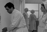 Сцена из фильма Воскресенья в Виль-д'Эвре / Les dimanches de Ville d'Avray (1962) Воскресенья в Виль-д'Эвре сцена 11