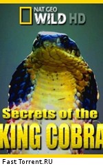 National Geographic: Загадки королевской кобры