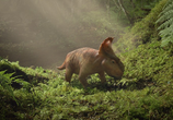 Сцена из фильма Прогулки с динозаврами 3D / Walking with Dinosaurs 3D (2013) 