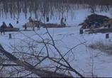 Сцена из фильма Первый год на севере (Поселенцы на Севере) / Kita no zeronen (2005) Поселенцы на Севере сцена 3