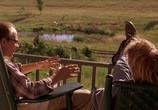Сцена из фильма Летите домой / Fly Away Home (1996) Летите домой