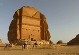 Сцена из фильма BBC: Дикая Аравия / BBC: Wild Arabia (2013) BBC: Дикая Аравия сцена 3