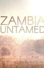 Неукротимая Замбия