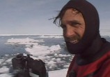 Сцена из фильма Гиганты Арктики / Battle of the Arctic Giants (2004) Гиганты Арктики сцена 2