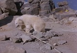 Сцена из фильма Аляска / Alaska (1996) Аляска сцена 4