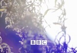 ТВ BBC: Horizon. Канабис (Конопля): вредная трава? / BBC Horizon. Canabis: The Evil Weed? (2009) - cцена 1