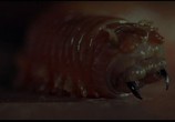 Сцена из фильма Черви / Squirm (1976) Корча сцена 2