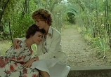 Сцена из фильма Любовь с первого взгляда / Coup de foudre (1983) Любовь с первого взгляда сцена 17