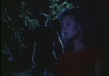 Сцена из фильма Террор на озере Тинкиллер / Terror at Tenkiller (1986) Террор на озере Тинкиллер сцена 18