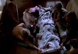 Сцена из фильма Не говори маме, что няня умерла / Don't Tell Mom the Babysitter's Dead (1991) Не говори маме, что няня умерла сцена 9