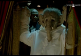 Сцена из фильма Слон / Elefante (2011) 