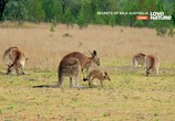 Сцена из фильма Тайны дикой природы Австралии / Secrets of Wild Australia (2016) Тайны дикой природы Австралии сцена 10
