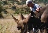 ТВ BBC: Наедине с природой: Последние из носорогов / Last of the Rhinos (2004) - cцена 3