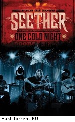 Seether - One Cold Night