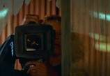 Сцена из фильма Кабан-секач / Razorback (1984) Кабан-секач сцена 1