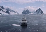Сцена из фильма Антарктида - Замороженный континент / Antarctica - The Frozen Continent (2019) Антарктида - Замороженный континент сцена 1
