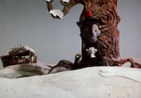 Мультфильм Бим, Бам, Бом и волк (1974) - cцена 2