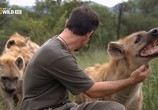 Сцена из фильма Львиный смотритель / The Lion Ranger (2010) Львиный смотритель сцена 4