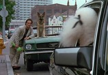 Сцена из фильма K-9: Собачья работа: Трилогия / K-9: Trilogy (1989) K-9: Собачья работа: Трилогия сцена 4