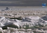 Сцена из фильма Как климат изменил ход истории / How Climate Made History (2015) Как климат изменил ход истории сцена 9