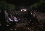 Сцена из фильма Комодо. Остров ужаса / Komodo (1999) Комодо. Остров ужаса сцена 3
