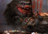 Фильм Зубастики / Critters (1986) - cцена 2