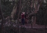 Сцена из фильма Дьявольское древо: Корень зла / Devil's Tree: Rooted Evil (2018) Дьявольское древо: Корень зла сцена 1