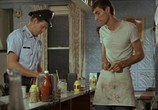 Сцена из фильма Полуночная жара / In the Heat of the Night (1967) Полуночная жара сцена 2
