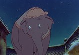 Мультфильм Дамбо / Dumbo (1941) - cцена 1