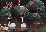 Сцена из фильма Аленький цветочек (1952) 