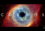 Сцена из фильма Космос: Пространство и время / Cosmos: A SpaceTime Odyssey (2014) Космос: Пространство и время сцена 1