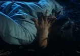 Сцена из фильма Дьявольский зародыш / Mo tai (1983) Дьявольский зародыш сцена 11