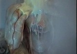 Сцена из фильма Кровавая баня зомби / Zombie Bloodbath (1993) Кровавая баня зомби сцена 3