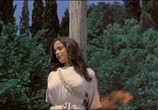 Сцена из фильма Афродита, богиня любви / Afrodite, dea dell'amore (1958) Афродита, богиня любви сцена 13