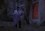 Сцена из фильма Белое наваждение / De witte waan (1984) Белое наваждение сцена 17