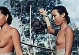 Сцена из фильма Самоа – королева джунглей / Samoa, regina della giungla (1968) Самоа – королева джунглей сцена 16