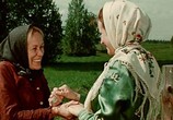 Фильм С тобой и без тебя (1974) - cцена 4