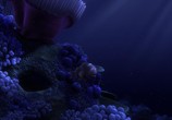 Сцена из фильма В Поисках Немо: Дополнительные материалы / Finding Nemo: Bonuces (2003) 