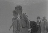 Сцена из фильма Молодые Афродиты / Mikres Afrodites (1963) Молодые Афродиты сцена 2