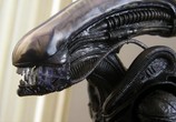 ТВ Мир фантастики: Чужой: Движущиеся картинки / Alien: Anthology (2011) - cцена 9