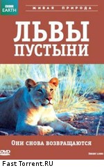 BBC: Живой мир (Мир природы): Львы пустыни