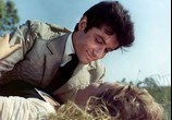 Сцена из фильма Украли Джоконду / On a vole la Joconde (1965) 